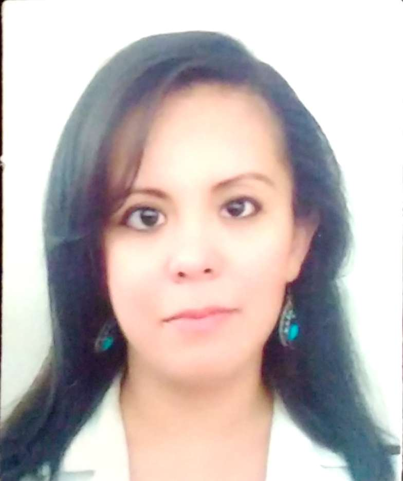 Verificador 2