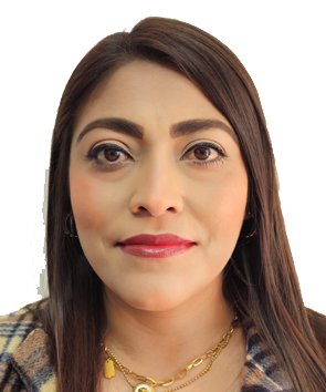 Verificador 2