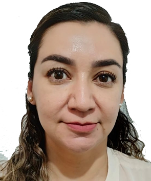 Verificador 2
