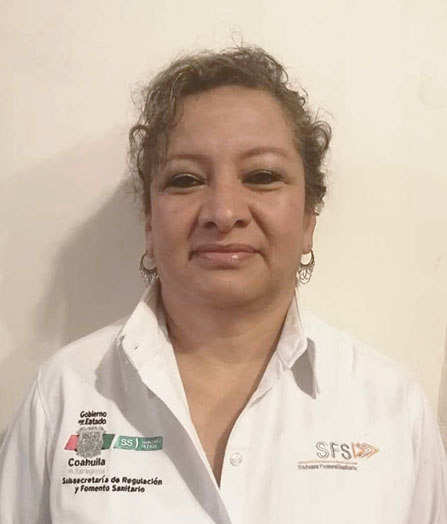 Verificador 2