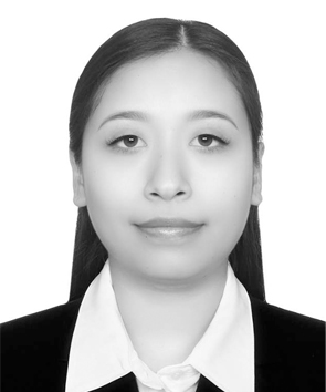 Verificador 2