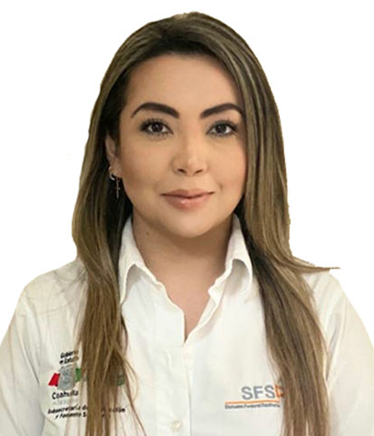 Verificador 2