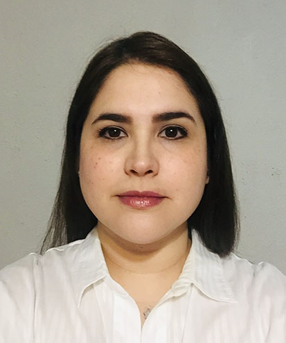 Verificador 2