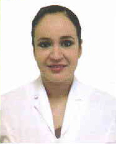 Verificador 2